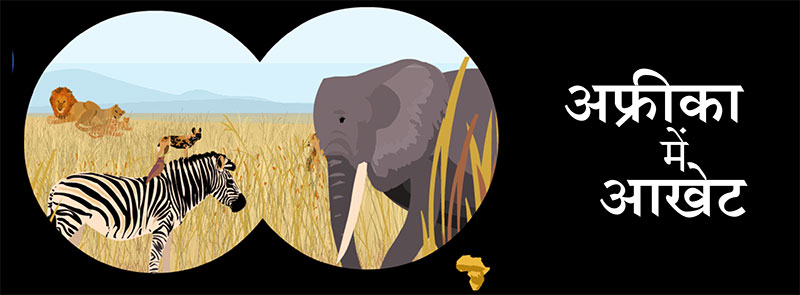 the-african-safari